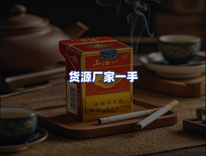 专业团队
